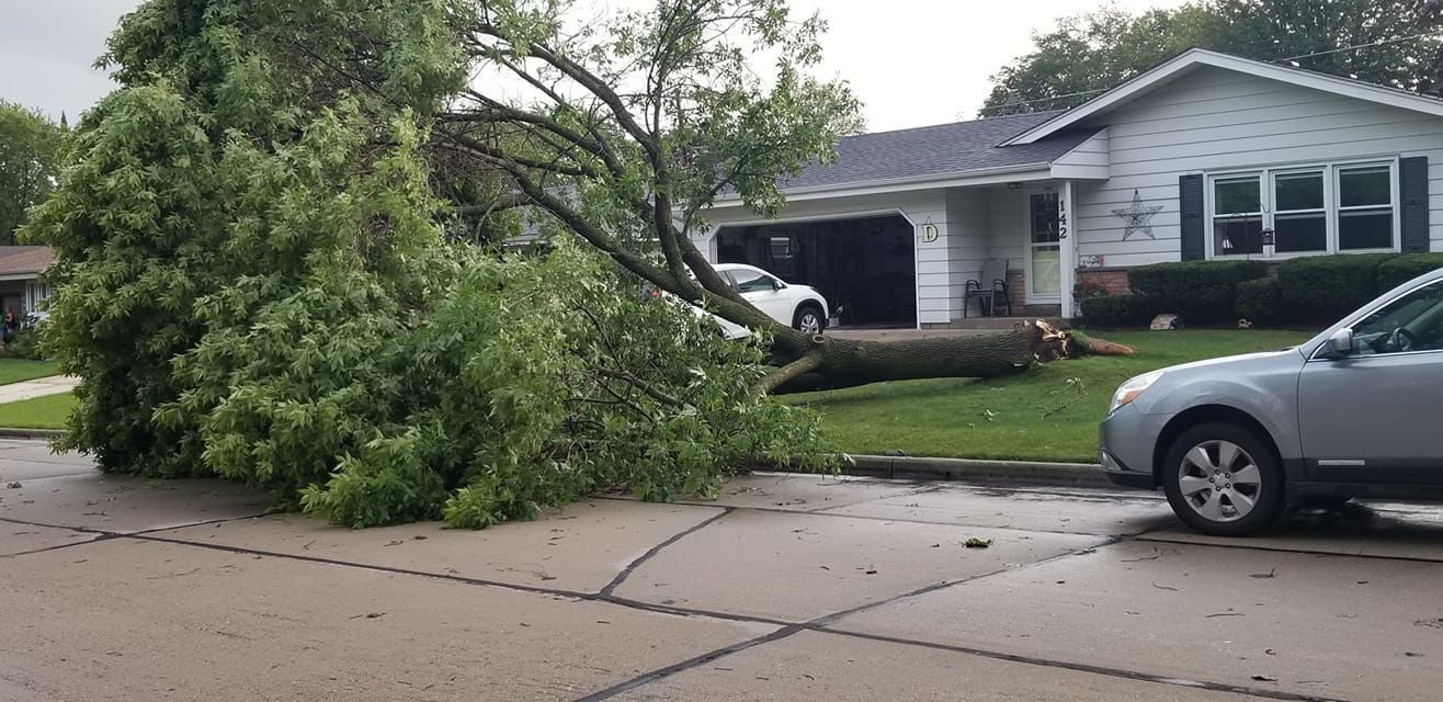Storm damage